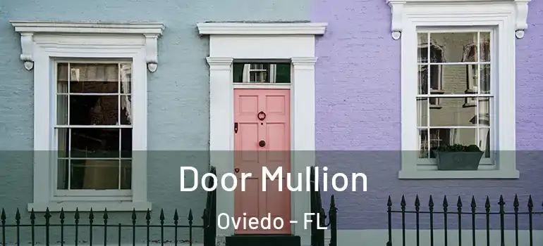 Door Mullion Oviedo - FL
