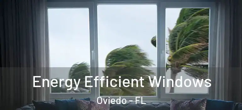 Energy Efficient Windows Oviedo - FL