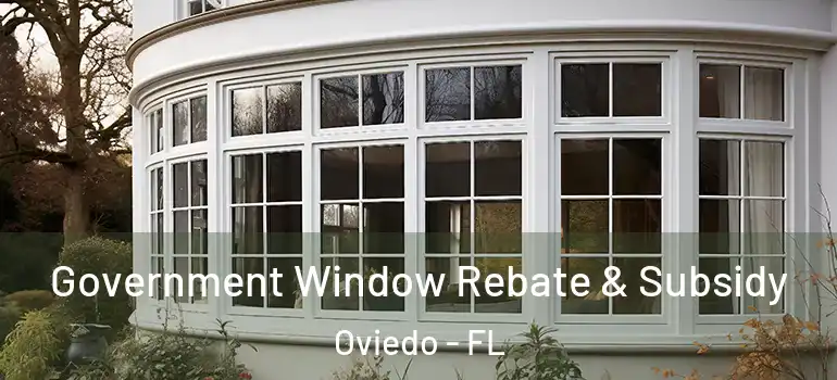 Government Window Rebate & Subsidy Oviedo - FL