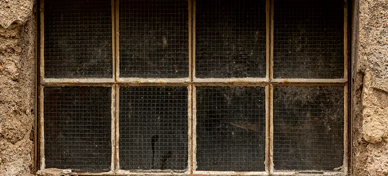 Traditional Double Front Doors in Oviedo, FL