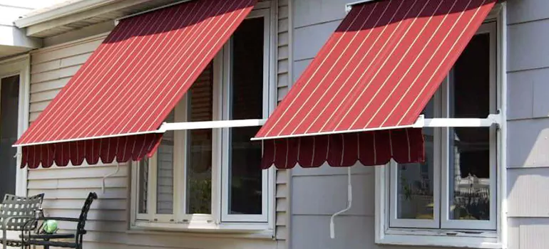 Government Rebate Window Replacement in Oviedo, FL