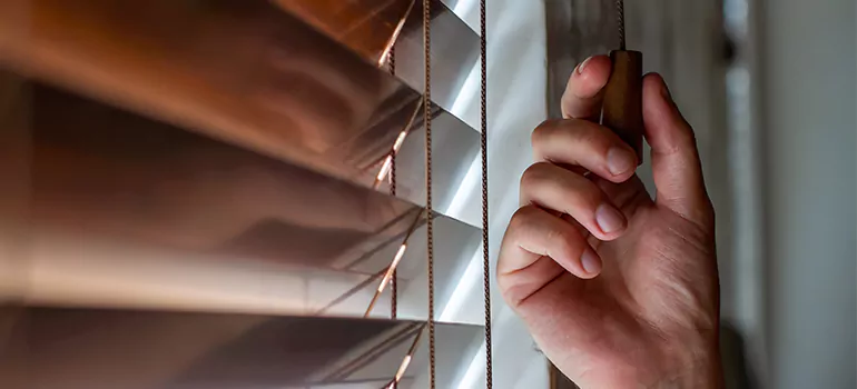 Double Roller Blinds in Oviedo, FL