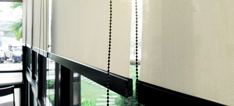 Blackout Window Shades in Oviedo, FL