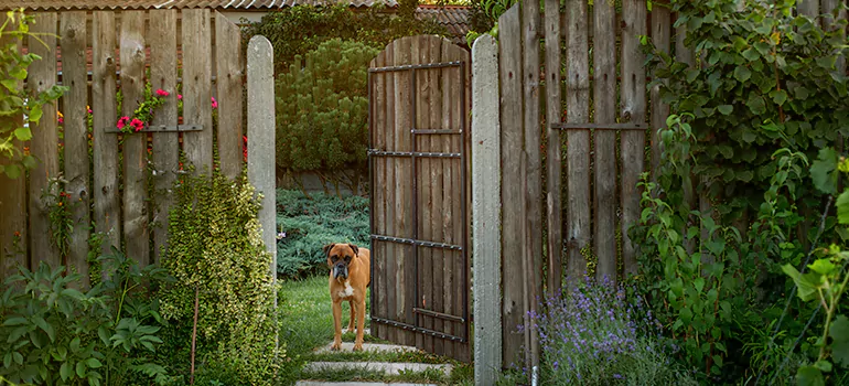 Winter Garden Garage Door Repair in Oviedo,[location field=state]