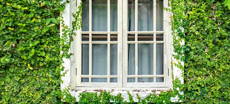 Garden Window Repair Near Me in Oviedo, FL