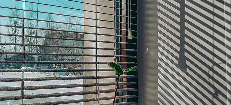 Commercial Window Blinds in Oviedo, FL