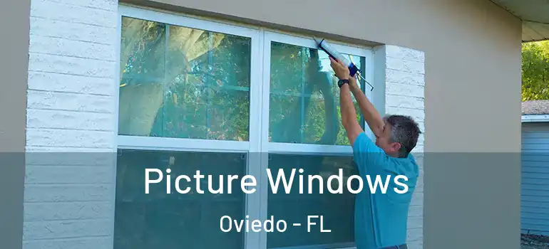 Picture Windows Oviedo - FL