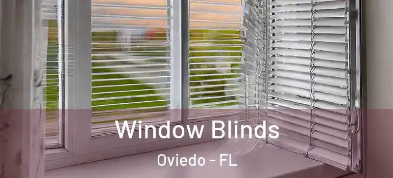 Window Blinds Oviedo - FL