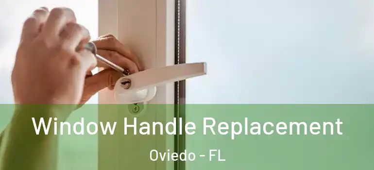 Window Handle Replacement Oviedo - FL