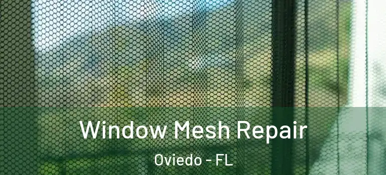 Window Mesh Repair Oviedo - FL