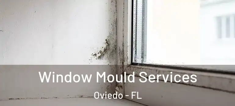 Window Mould Services Oviedo - FL