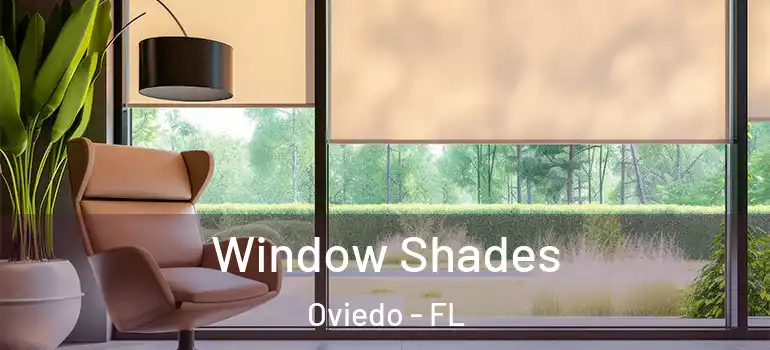 Window Shades Oviedo - FL