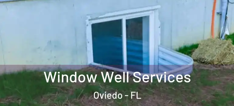 Window Well Services Oviedo - FL